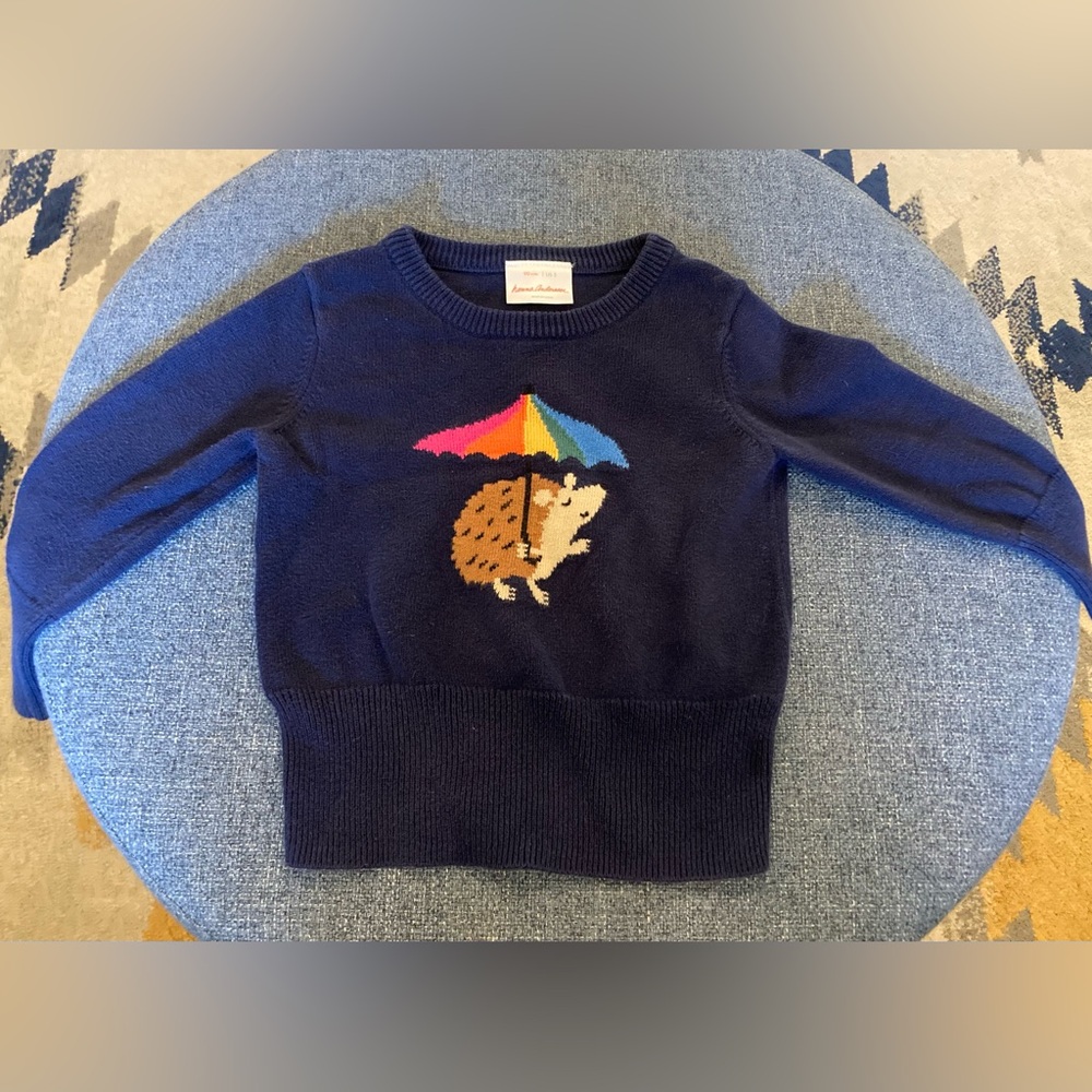 Hanna Anderson Toddler Hedgehog Sweater